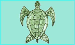Green Turtle Club Webcam